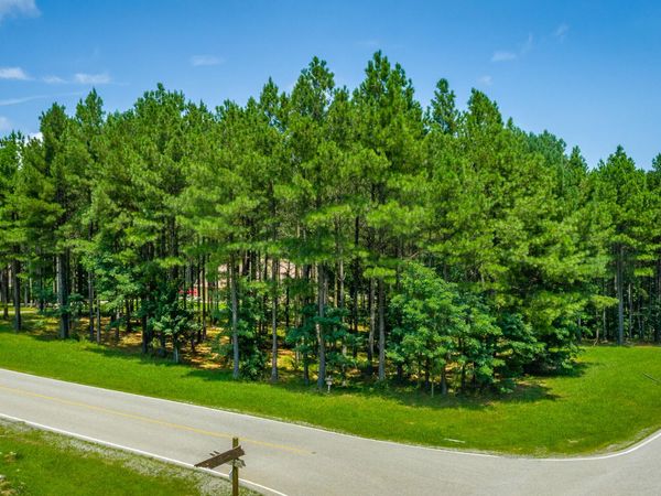 0 River Bluffs Drive, Jasper, TN 37347