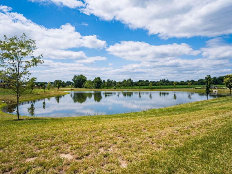 7405 McQueen Drive NW, Pickerington, OH 43147 Photo 44