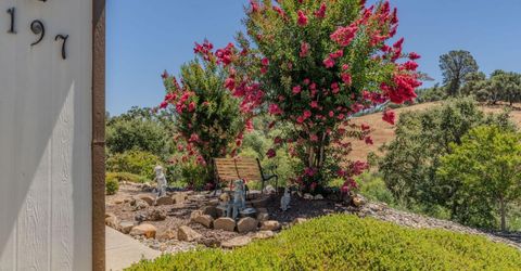 20 Rollingwood Dr #197, Jackson, CA 95642 Photo