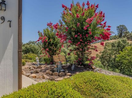 20 Rollingwood Dr #197, Jackson, CA 95642 Photo