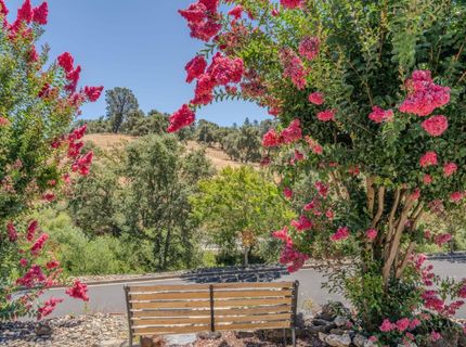 20 Rollingwood Dr #197, Jackson, CA 95642 Photo
