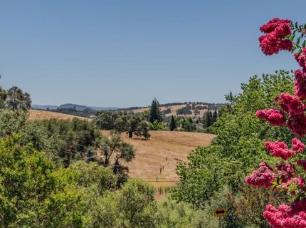 20 Rollingwood Dr #197, Jackson, CA 95642 Photo