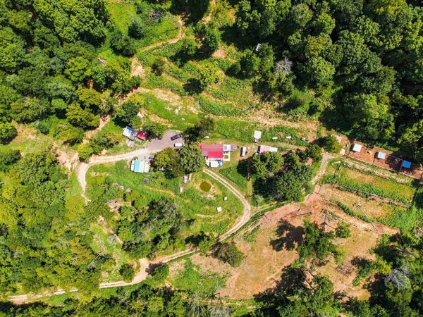 5056 Claiborne Ln, Hartsville, TN 37074