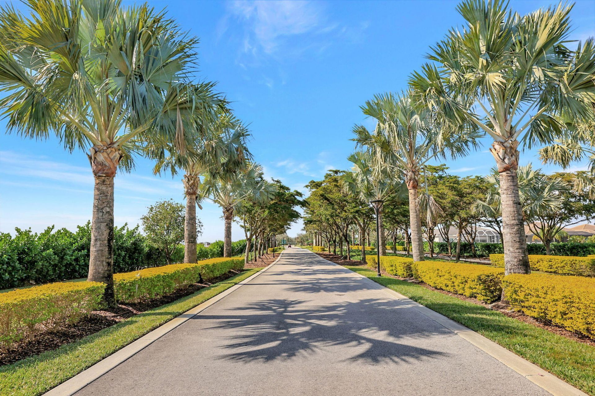 12132 SW Willowy Way, Port Saint Lucie, FL 34987 Photo