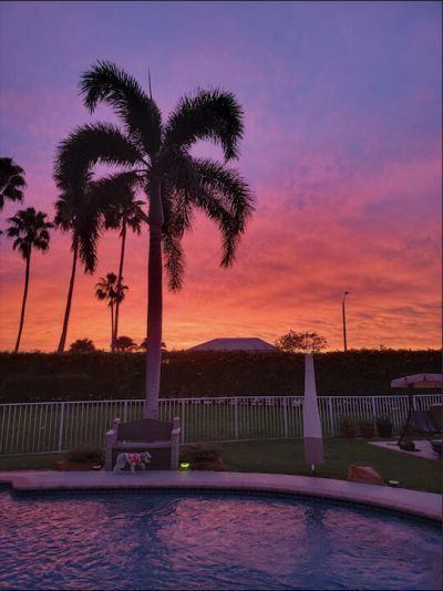 2772 SW 135th Avenue, Miramar, FL 33027 Photo