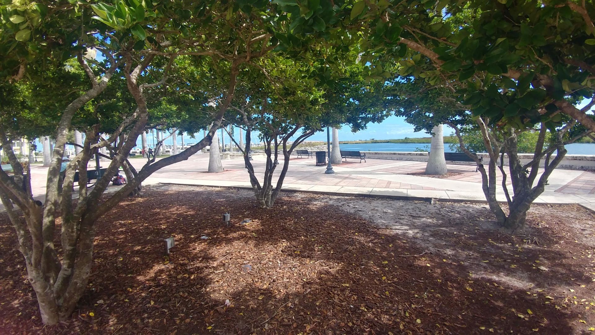 423 N 19th N Street, Fort Pierce, FL 34950 Photo
