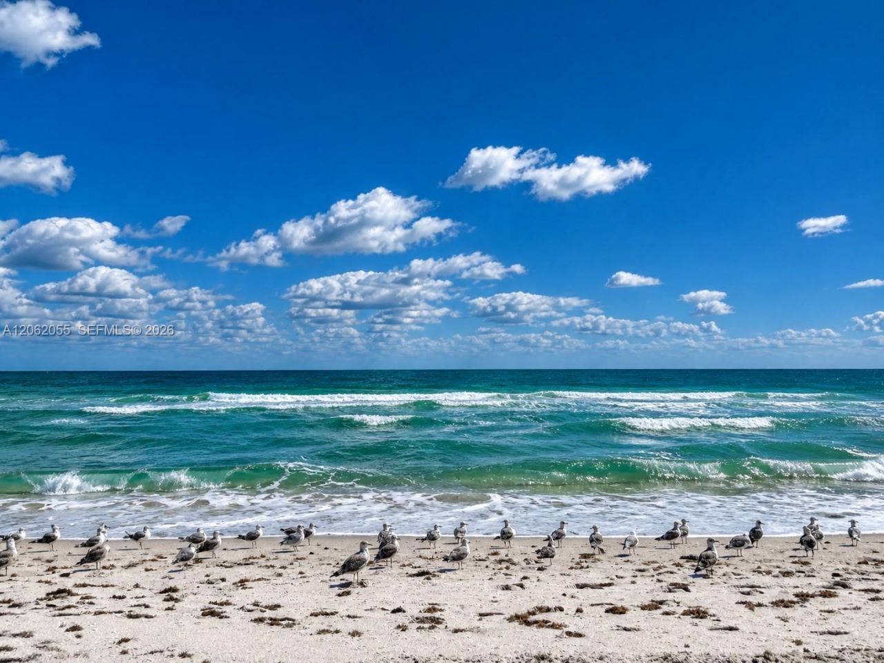6917 Collins Ave, Unit 1026, Miami Beach, FL 33141 Photo