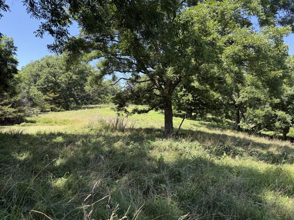 5219 Cowan Ridge Road, Powell, MO 65730