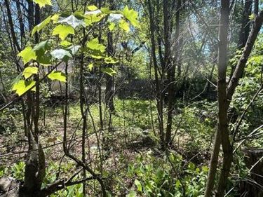 0 Van Street, Mills Township, Mi 48756