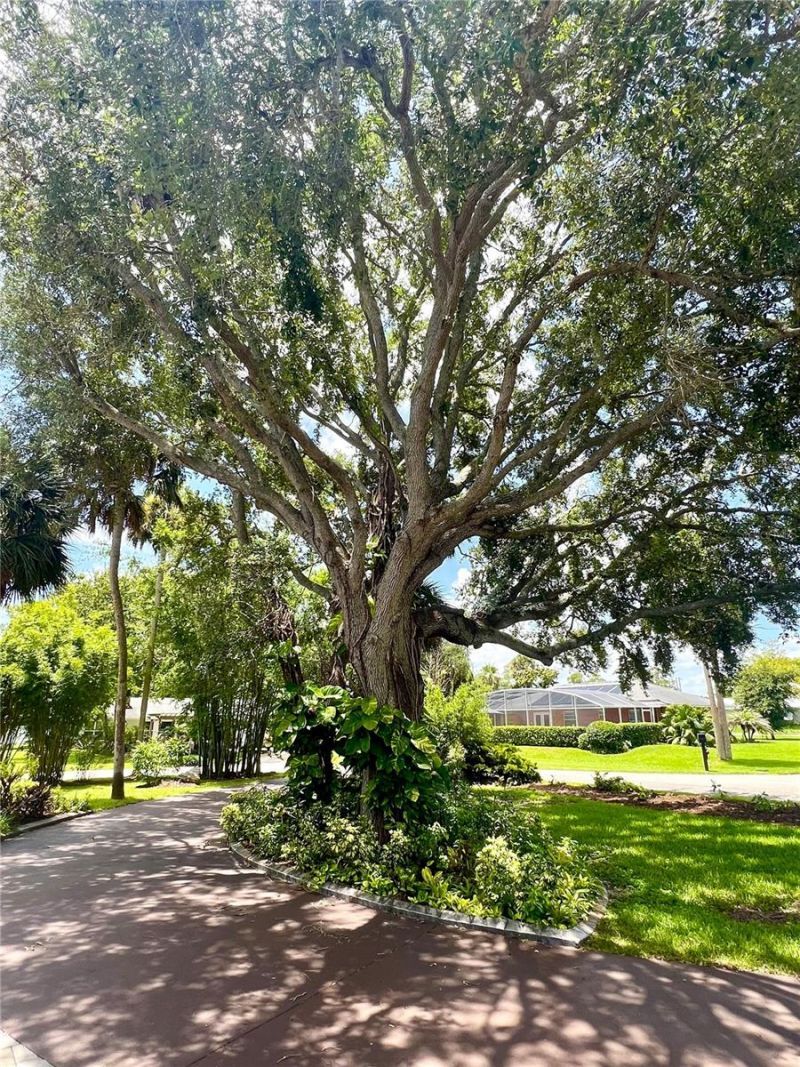 1 Harris Circle, Edgewater, FL 32141 Photo
