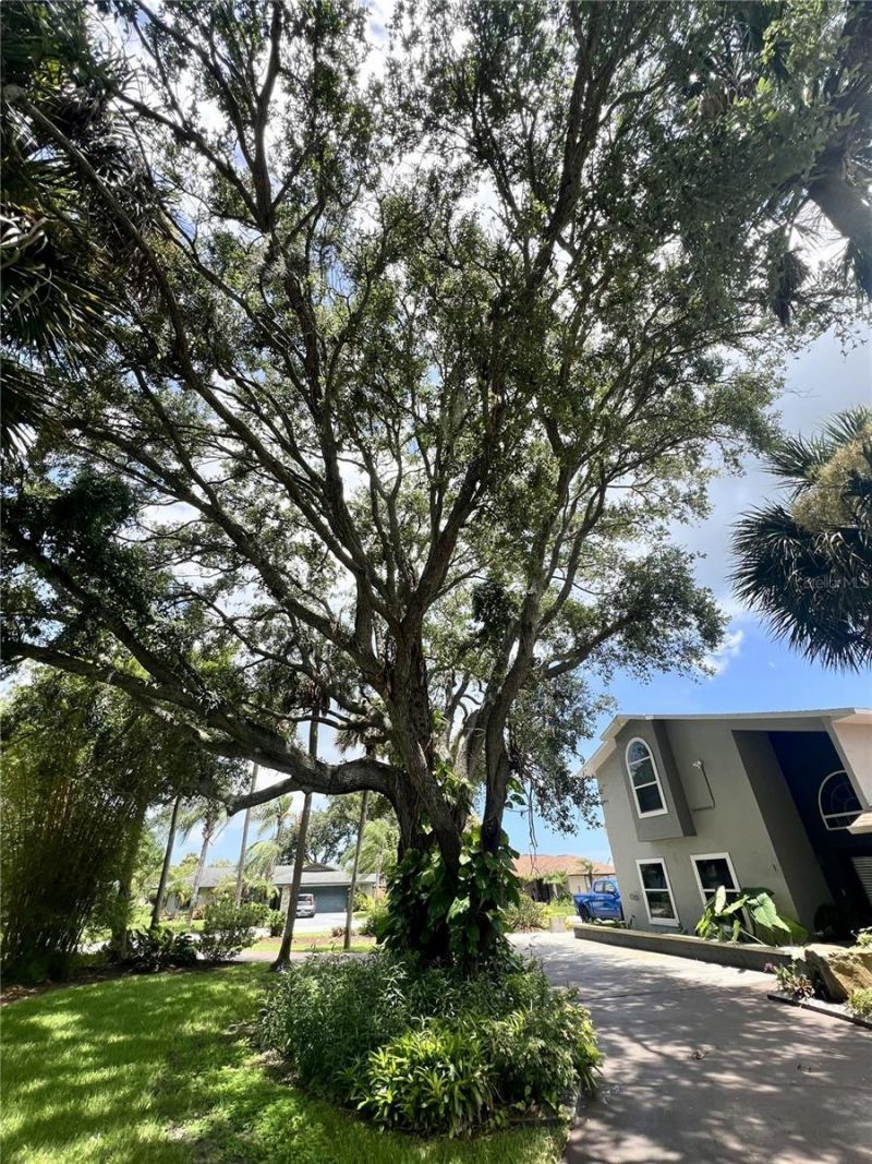 1 Harris Circle, Edgewater, FL 32141 Photo