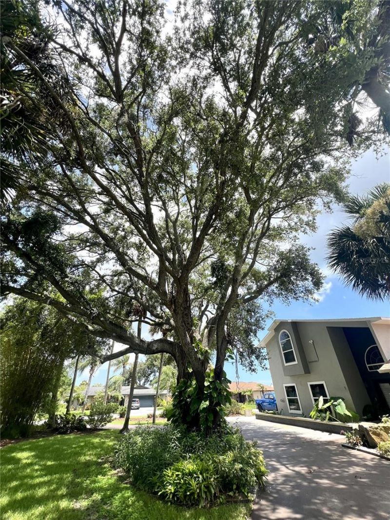 1 Harris Circle, Edgewater, FL 32141 Photo