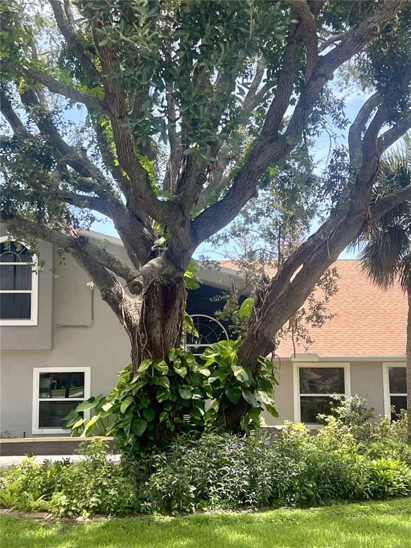 1 Harris Circle, Edgewater, FL 32141 Photo