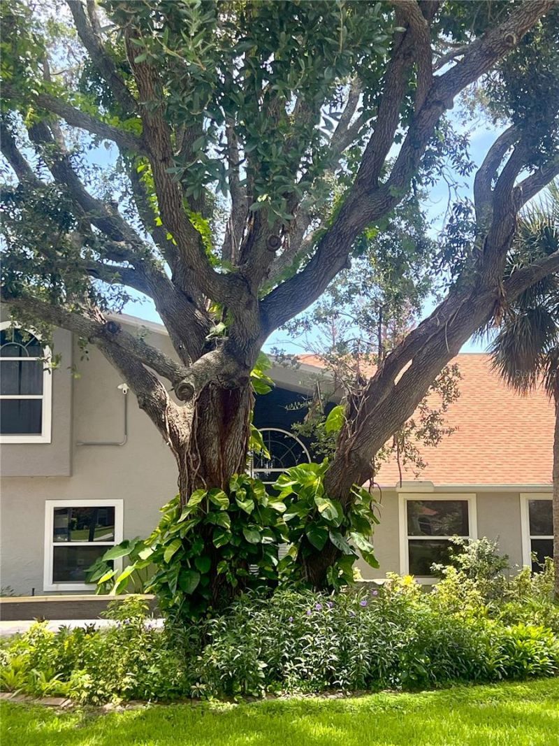 1 Harris Circle, Edgewater, FL 32141 Photo