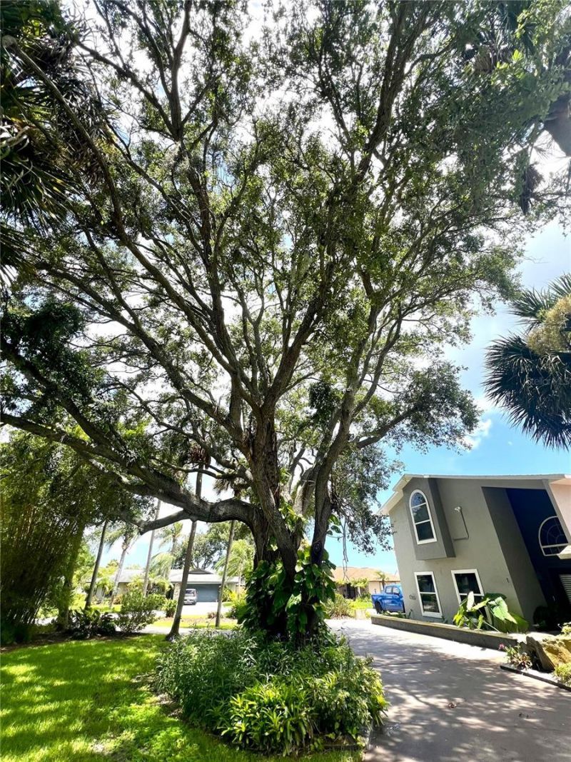 1 Harris Circle, Edgewater, FL 32141 Photo