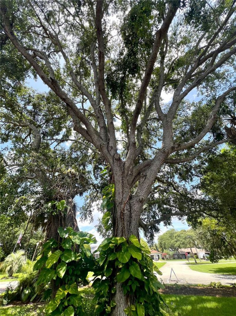 1 Harris Circle, Edgewater, FL 32141 Photo