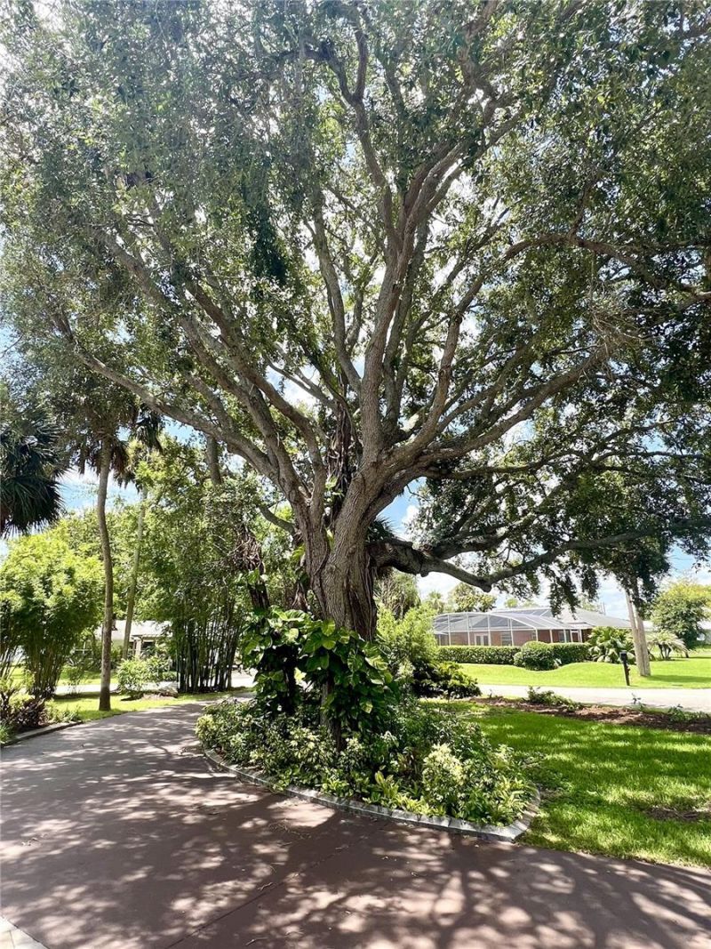 1 Harris Circle, Edgewater, FL 32141 Photo