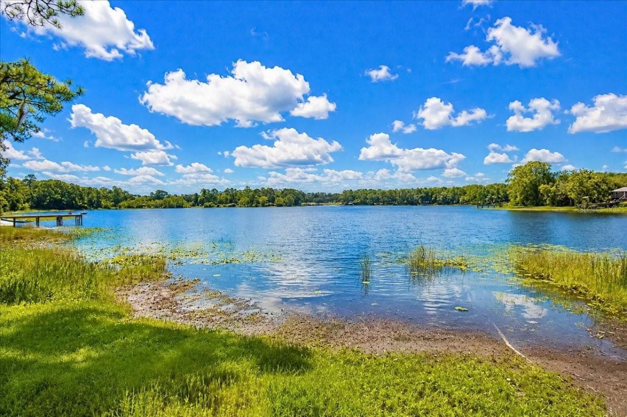 1081 NE 130th Terrace, Silver Springs, FL 34488 Photo