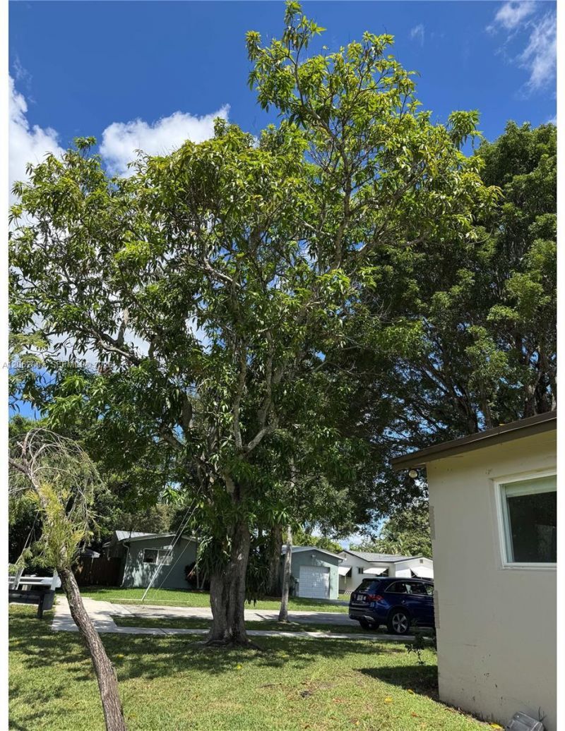 5320 SW 89th Ave, Cooper City, FL 33328 Photo