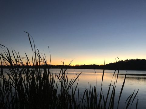Main Photo