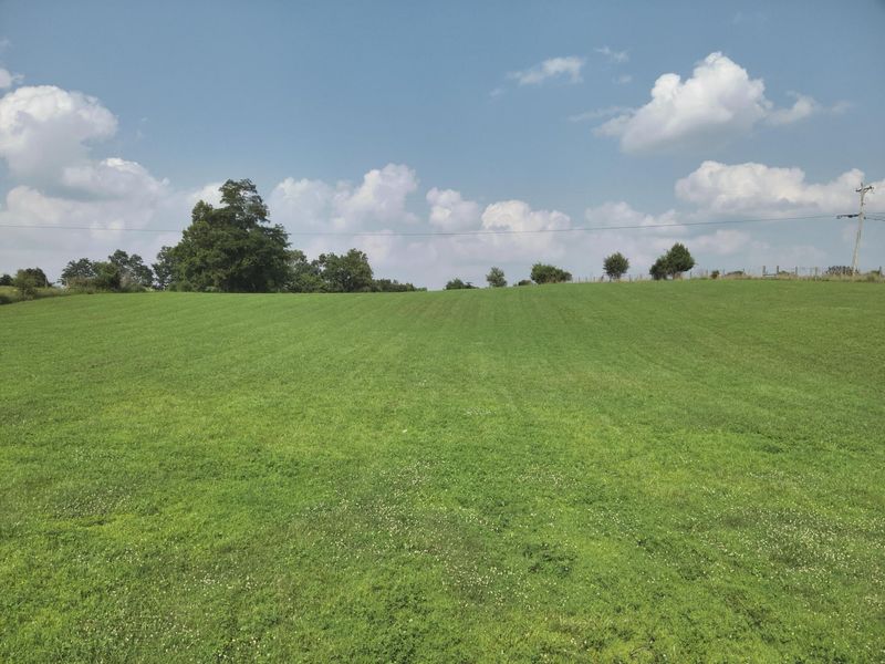 8234 Orangeburg Road, Maysville, KY 41056 Photo 18