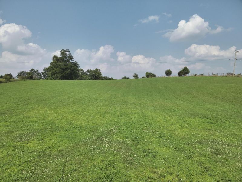 8234 Orangeburg Road, Maysville, KY 41056 Photo 3