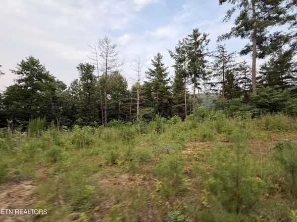 3739 Green Corner Rd, Hartford, TN 37753