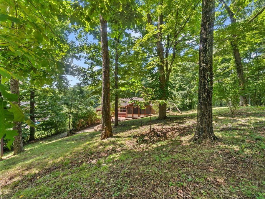 Property Image 38