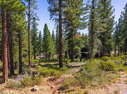 8219 Fallen Leaf Way, Truckee, CA 96161 Photo
