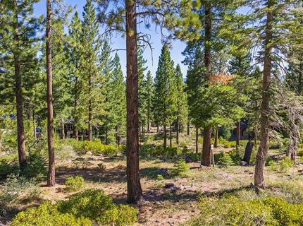 8219 Fallen Leaf Way, Truckee, CA 96161 Photo