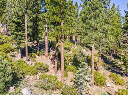 8219 Fallen Leaf Way, Truckee, CA 96161 Photo