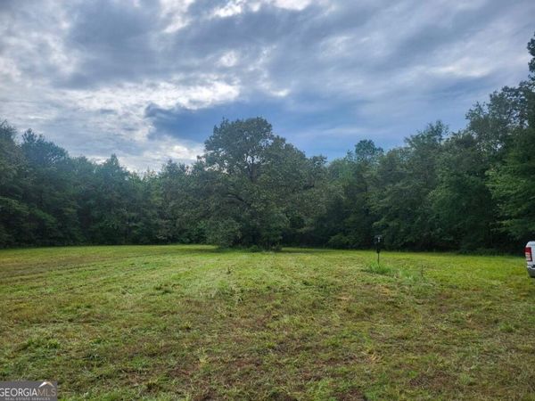 0 Lewis Station Road, Sylvania, GA 30467