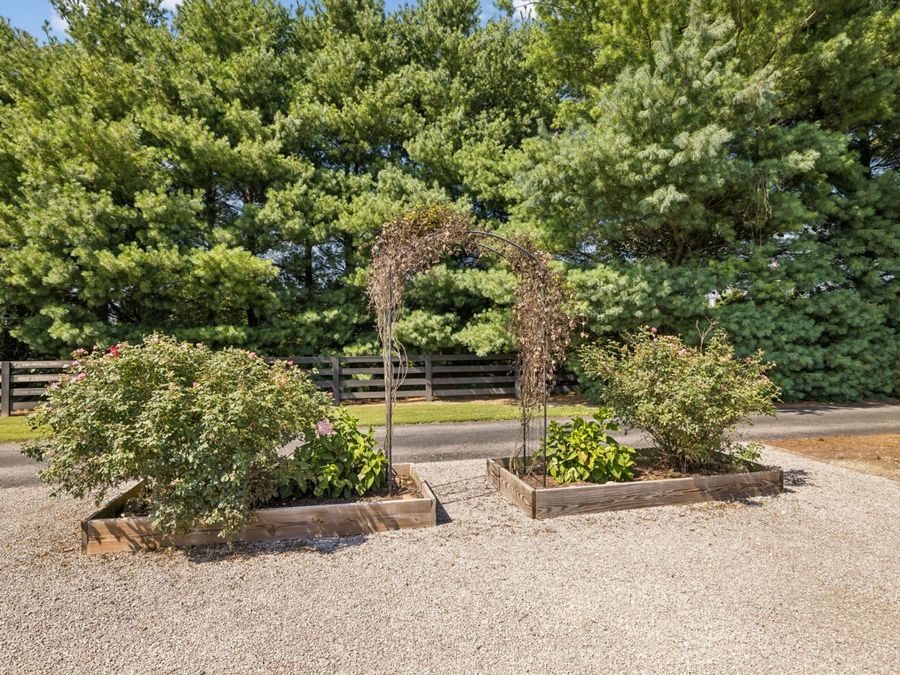 Property Image 85