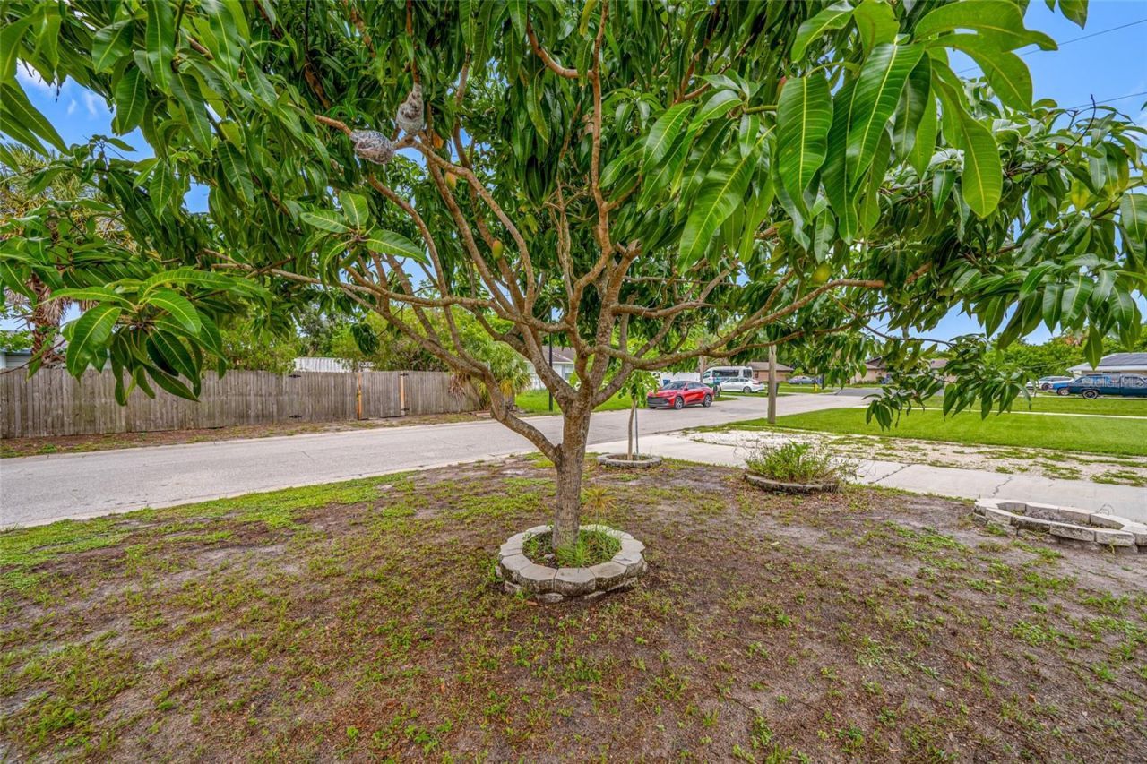 4115 55th Avenue Drive E, Bradenton, FL 34203 Photo