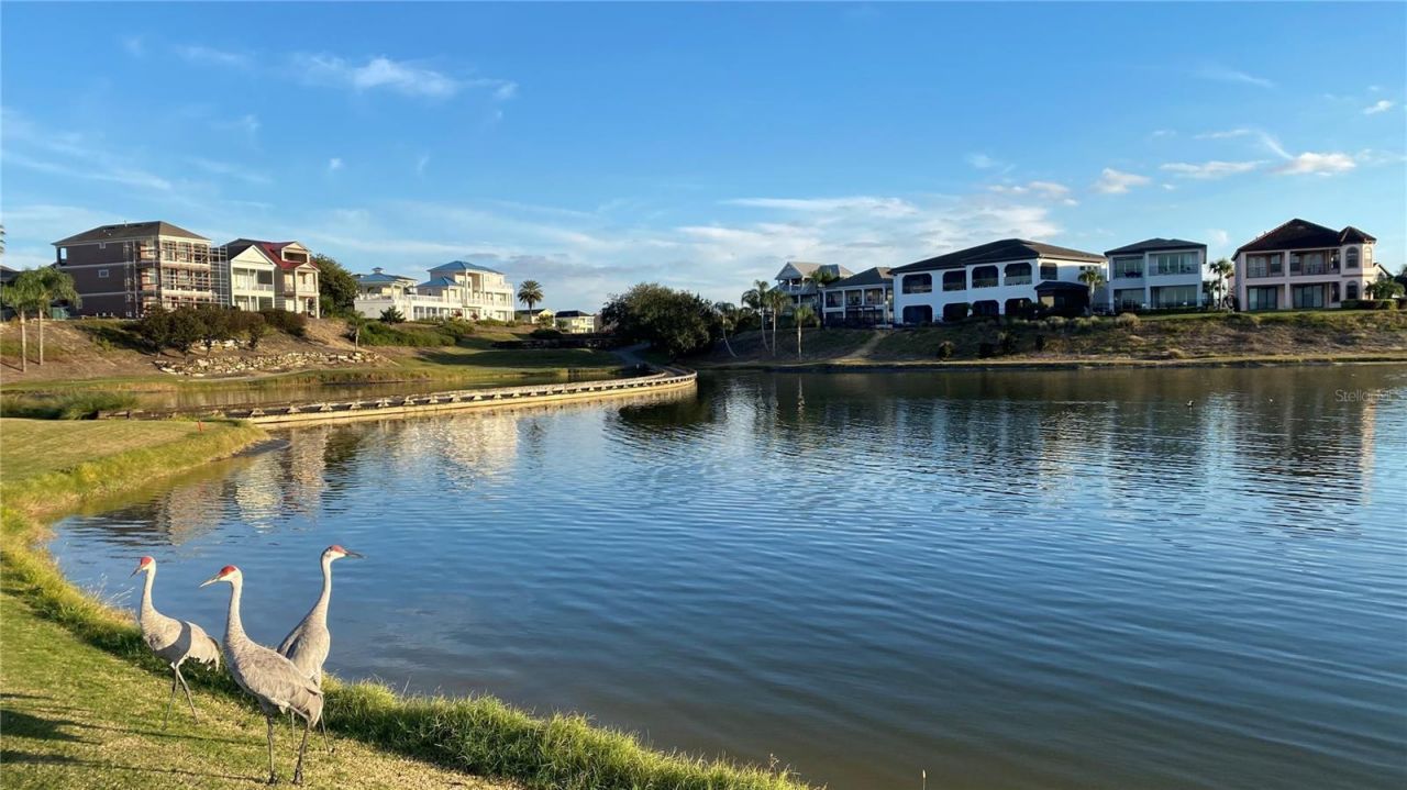 560 Muirfield Loop , Reunion, FL 34747 Photo