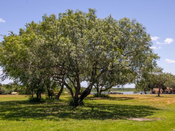 0 Lakeshore, Sandia, TX 78383