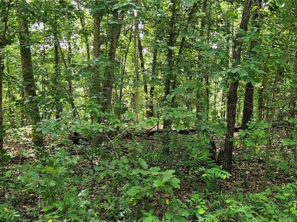 0 County Road 4050, Salem, MO 65560