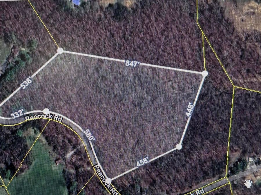 Property Image 1
