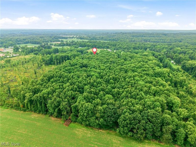 698 Braceville Robinson Road NW, Newton Falls, OH 44444 Photo 16