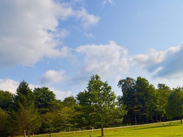 Lot 42 Penny Lane, Davis, WV 26260