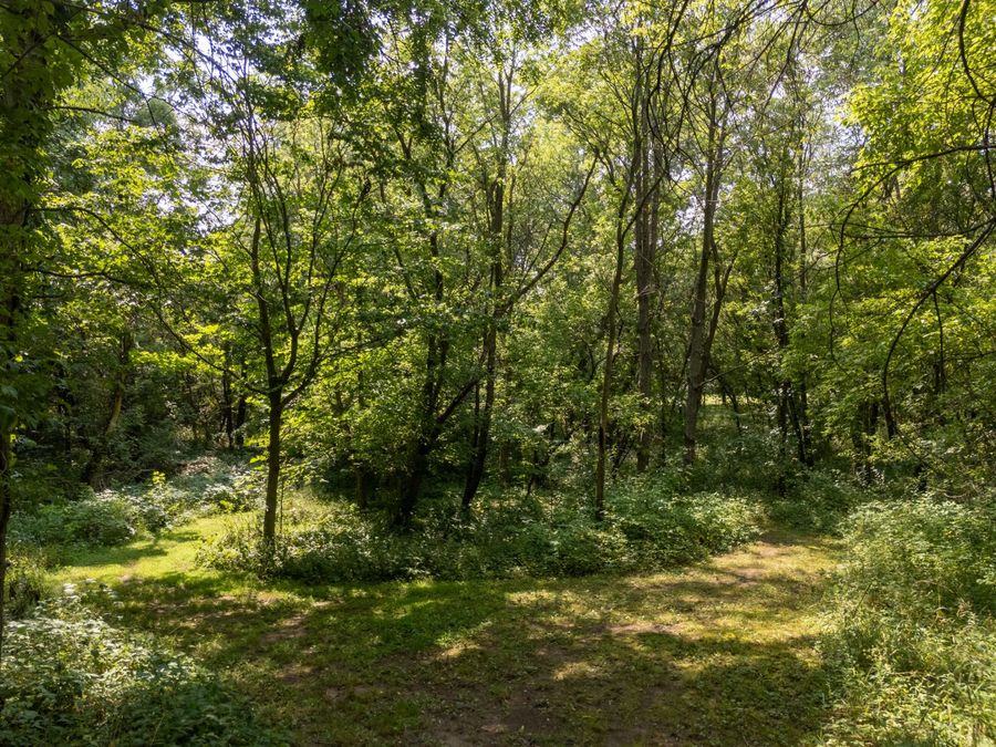 Property Image 56