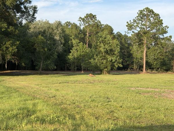 44052 WOODLAND Court, Callahan, FL 32011