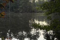 2 Hwy 76  photo 4