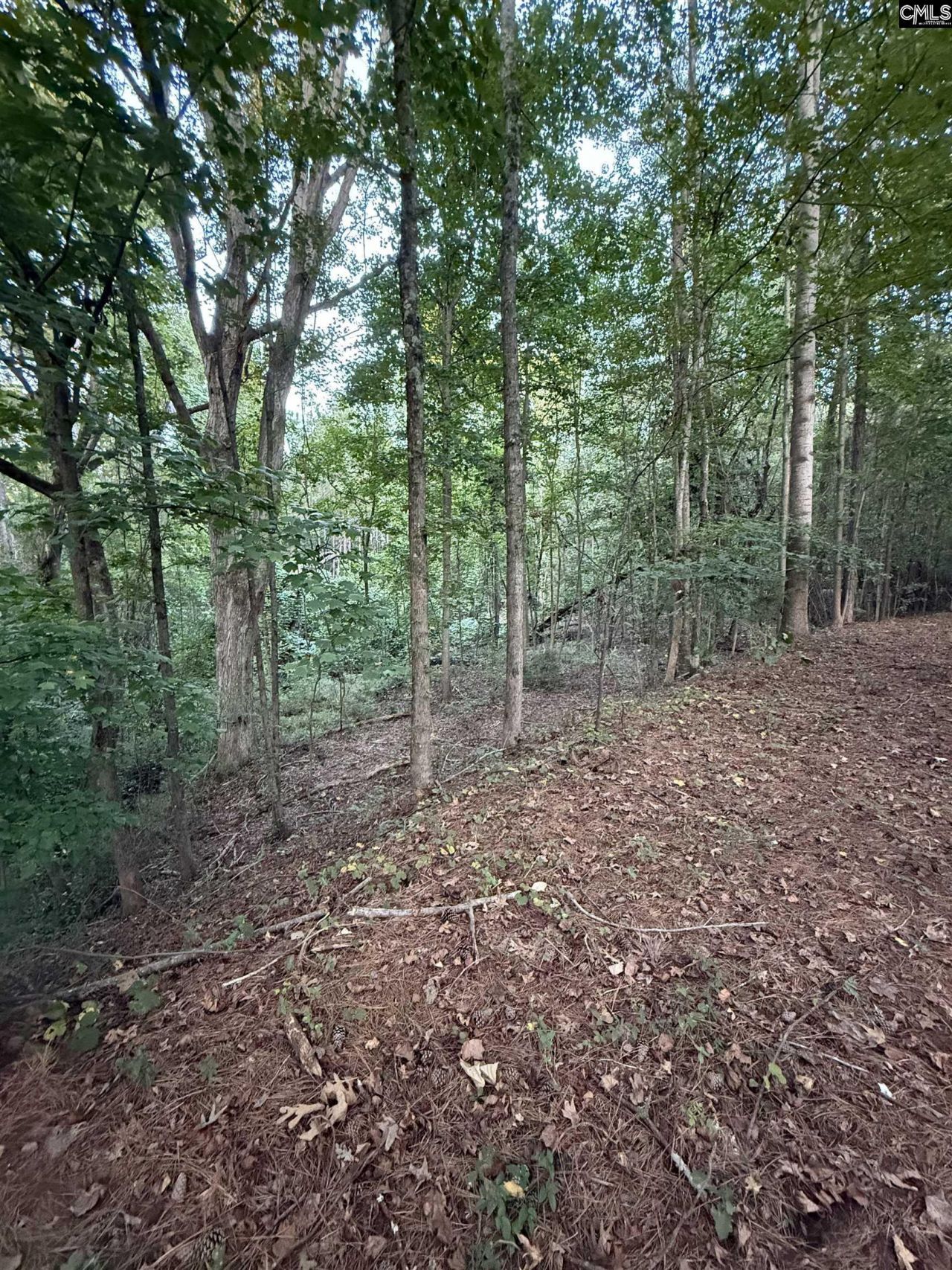 2 Hwy 76  Photo 5