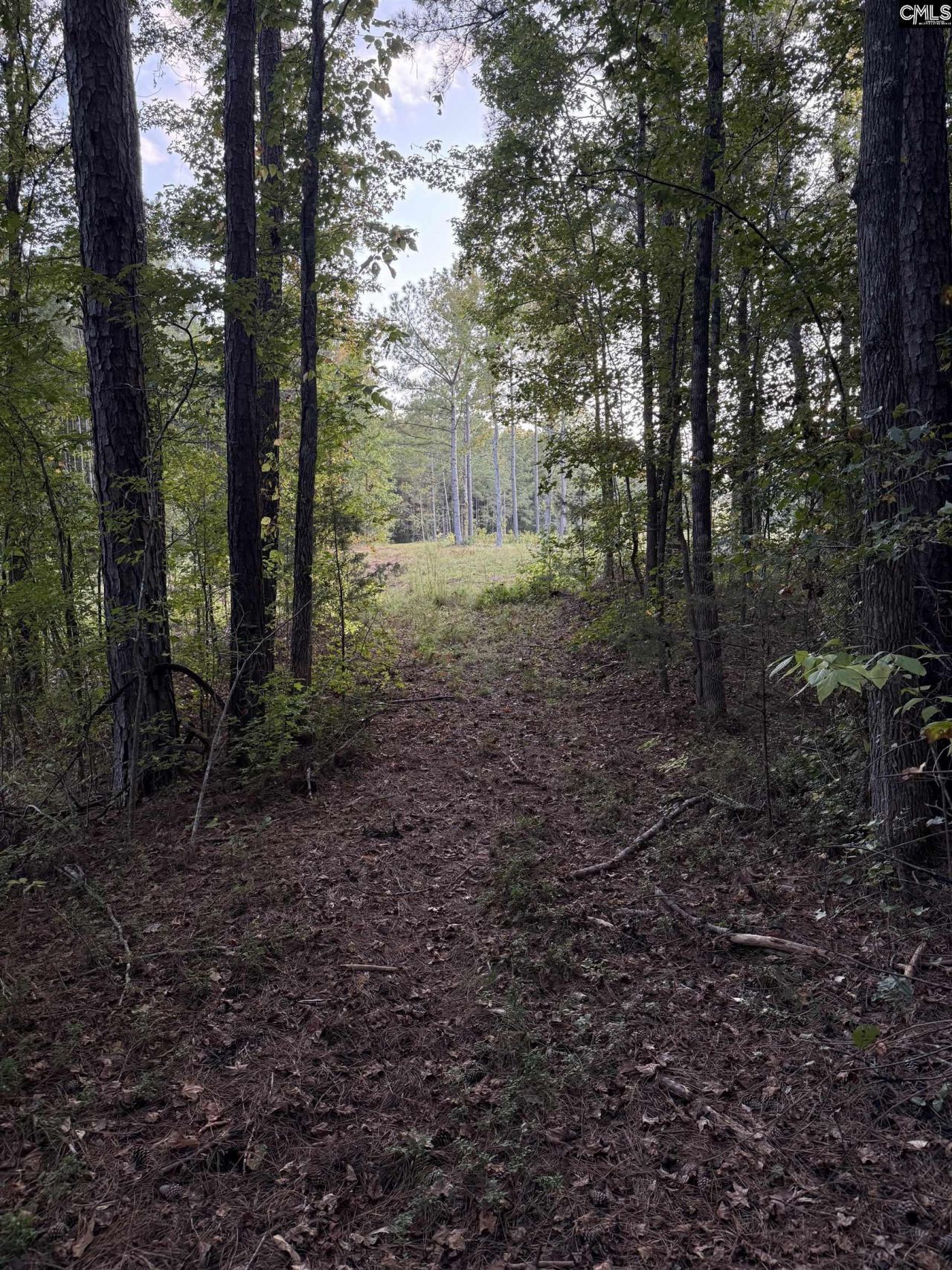 2 Hwy 76  Photo 8