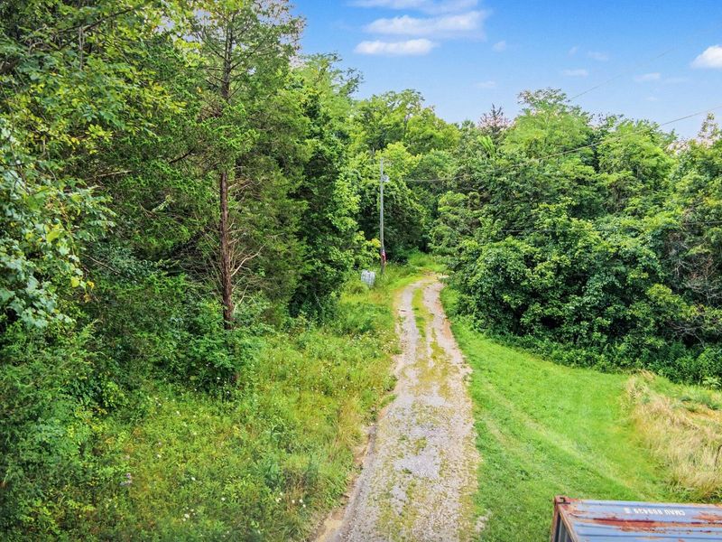 257 S Fork Road, Verona, KY 41092 Photo 3