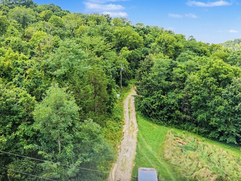 257 S Fork Road, Verona, KY 41092 Photo 4
