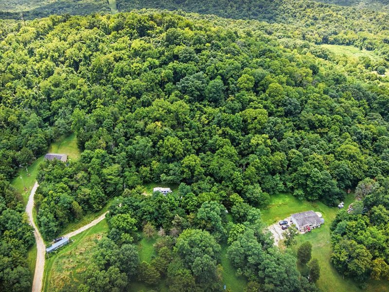 257 S Fork Road, Verona, KY 41092 Photo 5