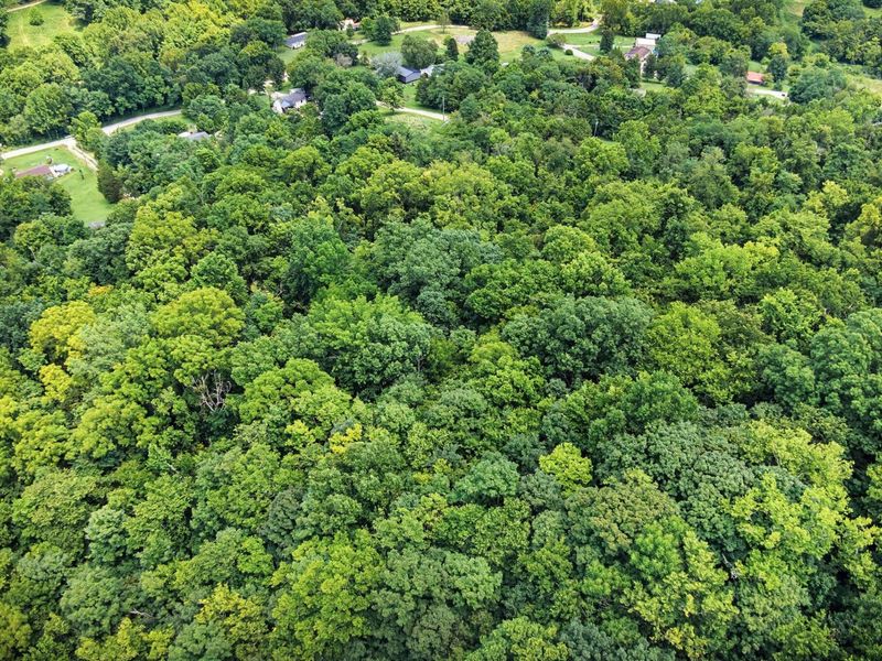 257 S Fork Road, Verona, KY 41092 Photo 9