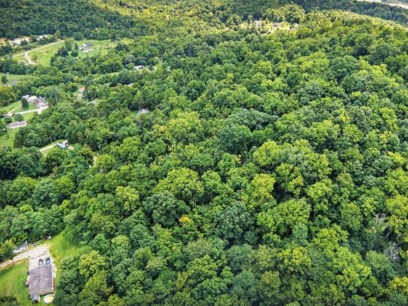 257 S Fork Road, Verona, KY 41092 Photo 9